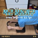 바른자세 몸펴기 운동 | 코어 전신을 위한 복근운동기구 종류 사용 후기