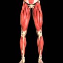 운동J GYM 이미지