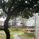 제주집(JEJU ZIP) 이미지