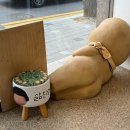 숙이네꼬마김밥&커피2호점 | 거센 파도가 머물던 ‘강릉’