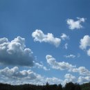 웰빙무도장 이미지