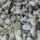 옥계동대산펜션 이미지