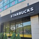 스타벅스 대전반석역점 | 스타벅스 신메뉴 우디 카우보이 쿠키 콜드브루 맛후기 꿀팁
