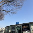 목포여행…목포는 나랑 입맛이 안맞아..