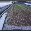 월곡농장 이미지