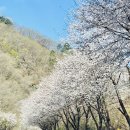 적목리신앙공동체유적지 이미지