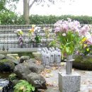 번창2로 이미지