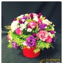 플로리스트 초급 이미지