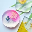 (컬러가 있는 수요일 원데이클래스) 백드롭페인팅 이미지