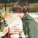 봄날의 강아지 이미지