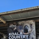 다미농장 | DAY2. 포트스테판 현지투어