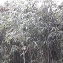 인천장수초등학교 이미지