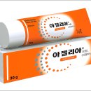 아젤리아 티스토리