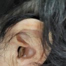 함열경로당 이미지