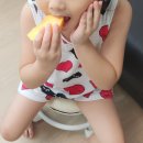 금봉 농장 이미지