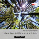 현하목장 | 대한민국 구석구석 2021 웰니스 숲힐링 주간행사 소개 및 강소형잠재관광지 서귀포 치유의 숲 탐방 후기