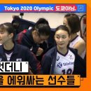 올림픽 티켓 따내고 우는 김희진 선수, 달래주면서 같이 우는 김연경 선수 이미지