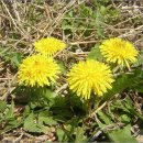 오후의 음 데이트 이미지