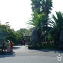 석부작박물관 이미지