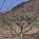 한덕농장 이미지