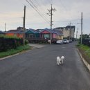 하도행복펜션 이미지