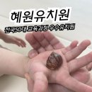 혜원유치원 이미지