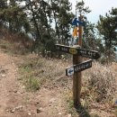 제주 올레길 18-1코스 이미지