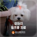 블리스 동물의료센터 | 서정리동물병원 강아지 림프종 증상 치료 [블리스동물의료센터]