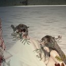 아라리오 뮤지엄 탑동 시네마 이미지