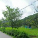 재신농장 이미지