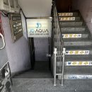 제이디(JD) AQUA | [물생활일기 3] JD아쿠아 매장에서 알골코리 봉달해왔어요 :)