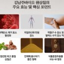 메디팜보문약국 이미지