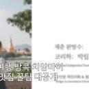 마이펫 부티크 | 태국 자유여행 방콕 치앙마이 경비 숙소 맛집 꿀팁 대공개