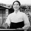 상록수집 이미지