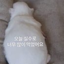 동희네