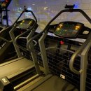 짐앤피티 이미지