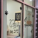 뽀송뽀송 애견미용 | 송도 애견미용 “허그인 애견미용실” 뽀송뽀송 케어 솔직 후기