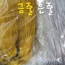 솔로몬 쇼핑하우