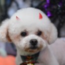 루이펫살롱 이미지