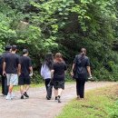 힐링캠프 이미지