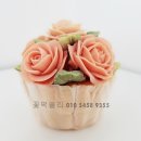 쏠리네라이스 네이버블로그