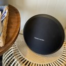 제주코롱코롱 이미지