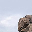 양산신-2021 이미지