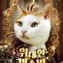 고양이 미용실 이미지