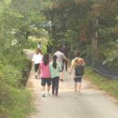 국립화천숲속야영장 이미지