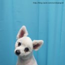 강산동물병원 이미지