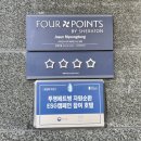 해피브레드 | 쉐라톤 조선 서울 명동 디럭스 킹 후기 | 위치, 시설 좋은 강북 4성급 호텔👍 (객실 / 조식 / 주차...