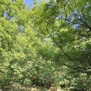 가야산휴펜션 이미지