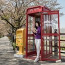 길을 찾는 작은도서관 이미지