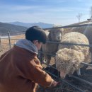 정감목장 이미지